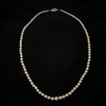 1497 6303 PEARL NECKLACE